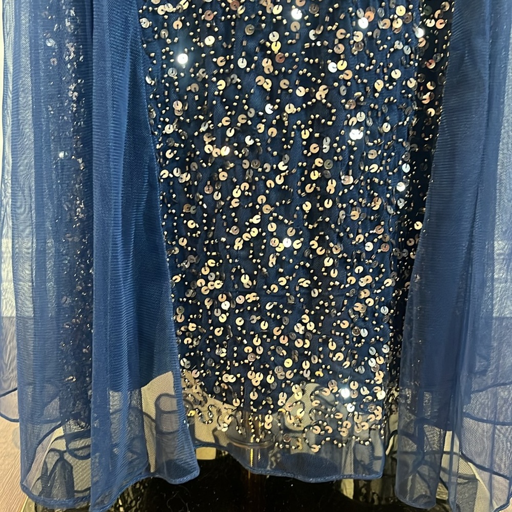 Evening Essentials Elegant Navy Sequin Gown - Picture 13 of 17